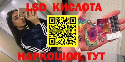 ГАЛЛЮЦИНОГЕННЫЕ ГРИБЫ Кандалакша