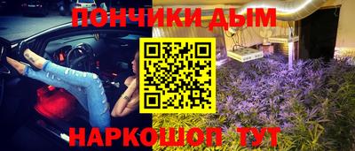 ГАЛЛЮЦИНОГЕННЫЕ ГРИБЫ Кандалакша