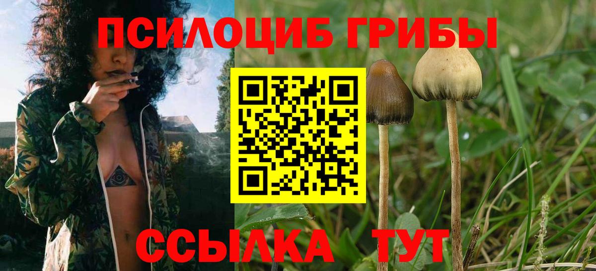 Псилоцибиновые грибы MAGIC MUSHROOMS  Вход с VPN  Ставрополь 