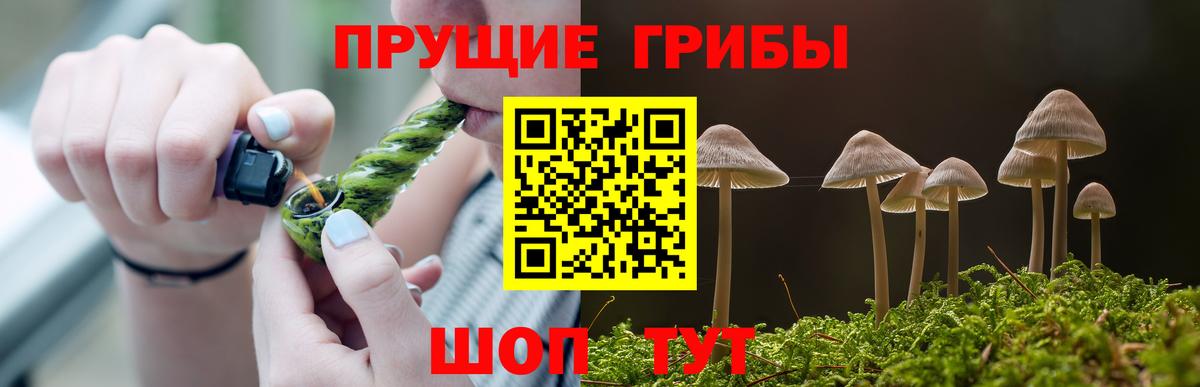 Псилоцибиновые грибы мухоморы Ставрополь